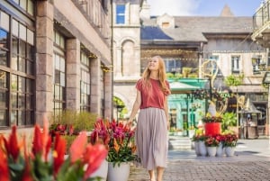 Tour a pie por la ciudad de Dublín, vikingos, San Patricio, lugares destacados