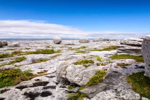 Dublin: Cliffs of Moher, Atlantic Edge & Galway City
