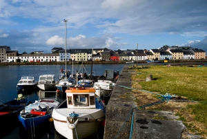 Dublin: Cliffs of Moher, Atlantic Edge & Galway City