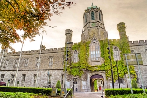 Dublin: Cliffs of Moher, Atlantic Edge & Galway City