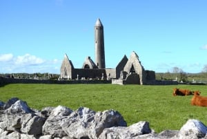 Dublin: Moherin kalliot, Burren ja Galway -päiväretki
