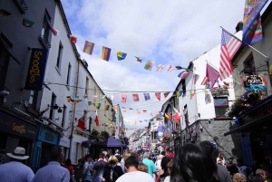 Dublin: Dagstur til Cliffs of Moher, Burren og Galway