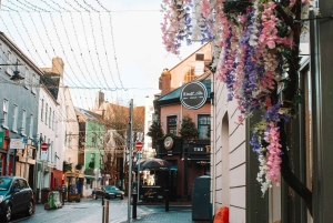 Dublin: Dagstur til Cliffs of Moher, Burren og Galway