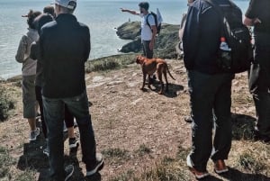 Dublin: wandeltocht langs de kust met Howth Adventures