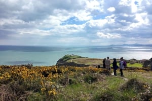 Dublin: wandeltocht langs de kust met Howth Adventures
