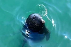 Dublin: wandeltocht langs de kust met Howth Adventures