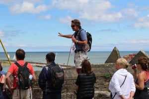 Dublin: wandeltocht langs de kust met Howth Adventures