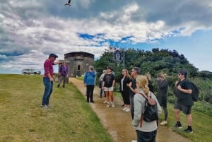 Dublin: Dublin Coastal Hike and Pints & Puppies