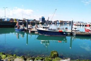 Dublin: Excursão de 1 dia a Howth e ao Castelo de Malahide