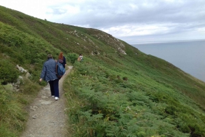 Dublin: Excursão de 1 dia a Howth e ao Castelo de Malahide