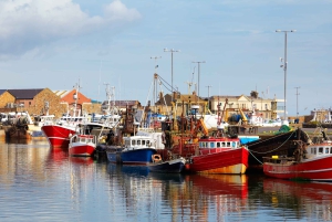 Dublin: Excursão de 1 dia a Howth e ao Castelo de Malahide
