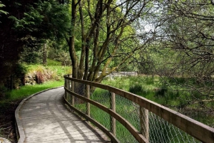 Dublin: Full-Day Wicklow Mountains Tour w/ Glendalough Visit