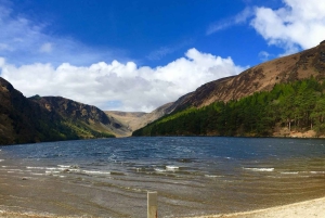 Dublin: Full-Day Wicklow Mountains Tour w/ Glendalough Visit
