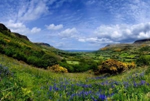 Dublin: Giant's Causeway, Dark Hedges & Titanic Guided Tour