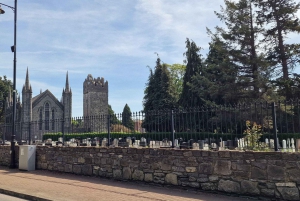 Dublin: Hidden Gem Walking Tour with Local Guide