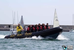 Dublin: Rejs wycieczkowy z historią i dziką przyrodą z komentarzem na żywo