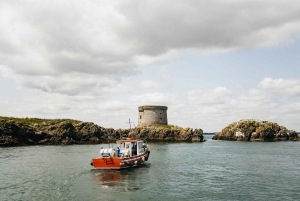 Dublin: Rondvaart langs de kust van Howth