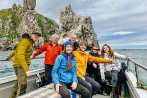 Dublin: Rondvaart langs de kust van Howth