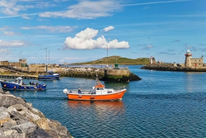 Dublin: Rondvaart langs de kust van Howth