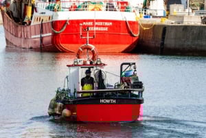 Dublin: Howth Coastal Craft Beer and Seafood Tour