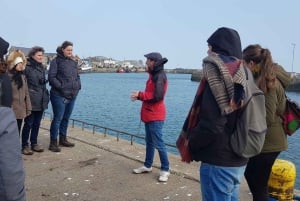 Dublin: Howth Coastal Craft Beer and Seafood Tour