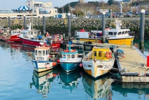 Dublin: Howth Coastal Craft Beer and Seafood Tour