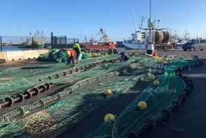 Dublin: Howth Coastal Craft Beer and Seafood Tour