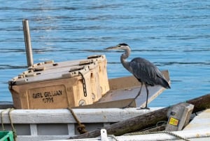 Dublin: Howth Coastal Craft Beer and Seafood Tour