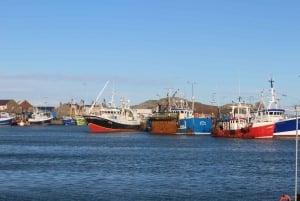 Dublin: Howth Coastal Craft Beer and Seafood Tour