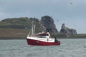 Dublin: Howth Coastal Craft Beer and Seafood Tour