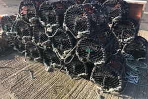 Dublin: Howth Coastal Craft Beer and Seafood Tour