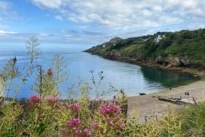 Dublin: Vandring längs kusten i Howth