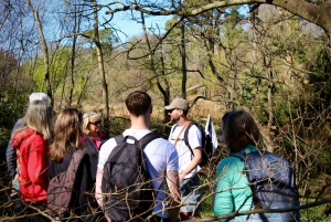 Dublin: Excursão a pé pelo Howth Safari