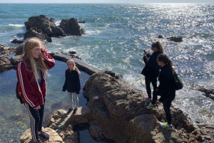 Dublin: Excursão a pé pelo Howth Safari