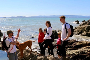 Dublin: Excursão a pé pelo Howth Safari