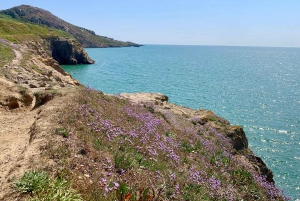 Dublin: Excursão a pé pelo Howth Safari