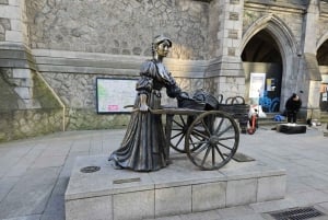 Dublin Landmärken Rundvandring