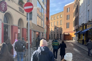 Dublin: Makaberi, kummitusinen ja verinen kävelykierros