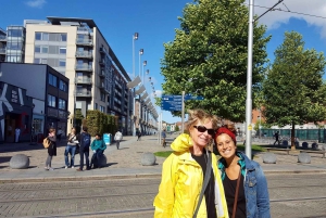 Dublino: Tour privato personalizzato con un ospite locale
