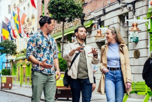Dublino: Tour privato personalizzato con un ospite locale