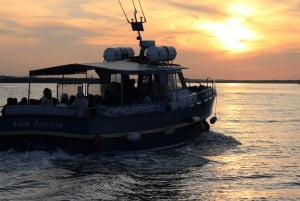 Dublin: Kreuzfahrt bei Sonnenuntergang in Howth