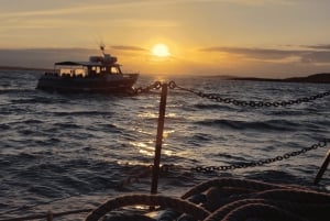 Dublin: Kreuzfahrt bei Sonnenuntergang in Howth
