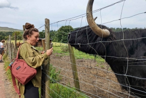 Edimburgo: 18-39s Recorrido de 3 días por las Tierras Altas de Escocia y Skye