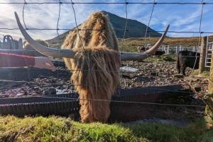 Edimburgo: 18-39s Recorrido de 3 días por las Tierras Altas de Escocia y Skye