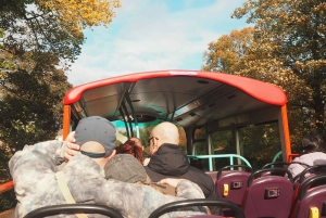 Edinburgh: hop-on-hop-off-tour met open bus