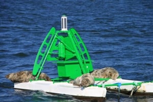 エディンバラ：「フォース湾」スリーブリッジ観光クルーズ