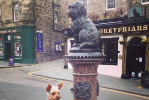 Edimburgo: Tour a pie por el casco antiguo para amantes de la historia