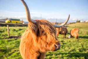 Edinburgh: Isle of Skye, Inverness og Highlands 3-dagers tur