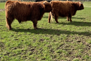 Edinburgh: Isle of Skye, Inverness og Highlands 3-dagers tur