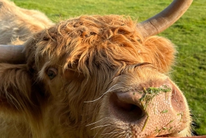 Edinburgh: Isle of Skye, Inverness og Highlands 3-dagers tur